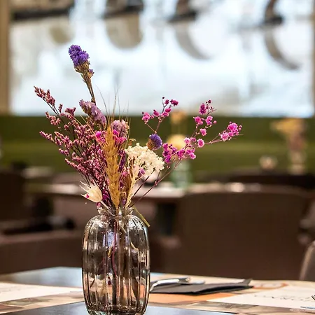 Mercure Centro Saint John فندق