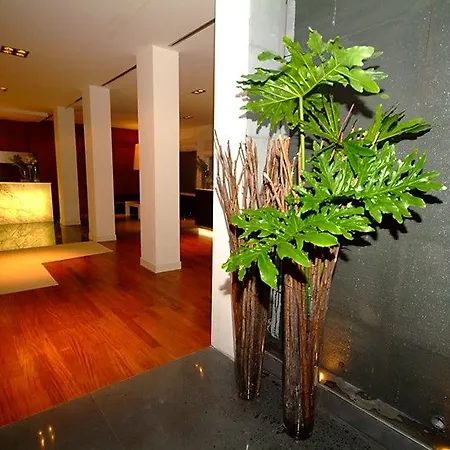 Mercure Centro Saint John Hotel 4*