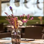 Mercure Centro Saint John Hotel